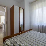 Apartments With Parking Space Novigrad - 7135 *