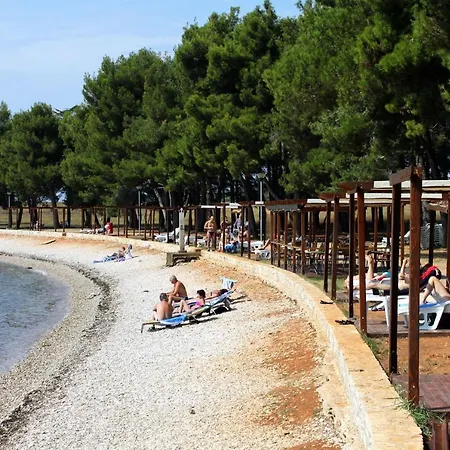 Apartment Apartments With Parking Space Novigrad - 7135 Novigrad (Istria)