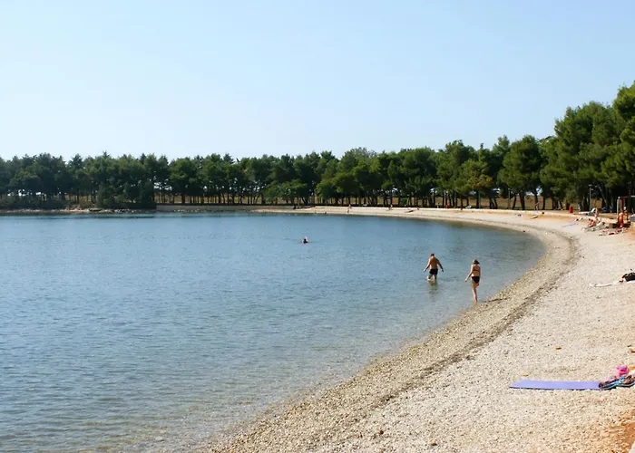 With Parking Space Novigrad - 7135 Apartman