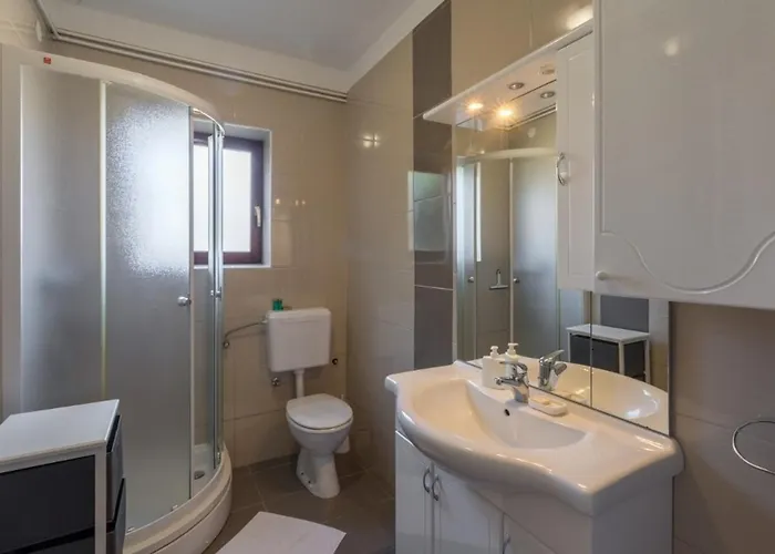 With Parking Space Novigrad - 7135 Apartman